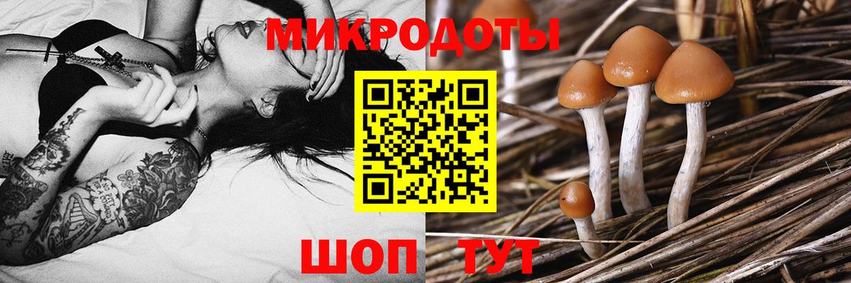 Псилоцибиновые грибы мухоморы Малгобек