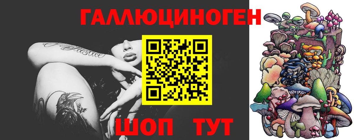 Малгобек  Галлюциногенные грибы MAGIC MUSHROOMS  Псилоцибиновые грибы Magic Shrooms  Вход с VPN 
